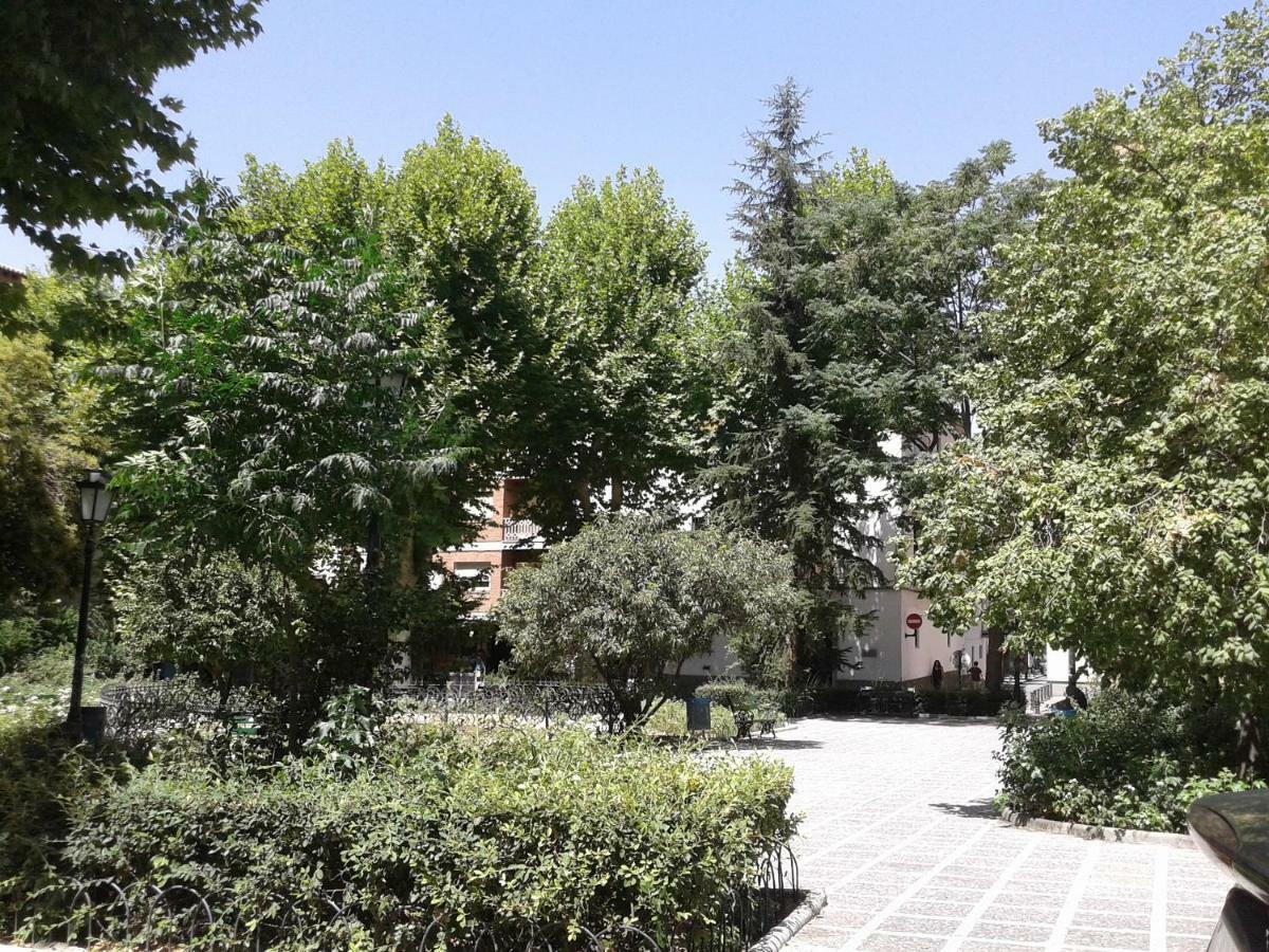 Catedral Centro Apartment *